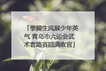 拳脚生风展少年英气 青岛市六运会武术套路赛圆满收官