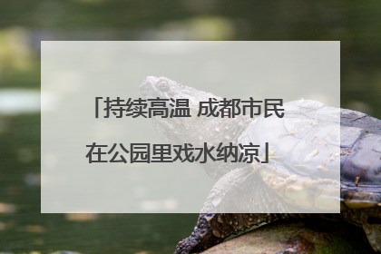 持续高温 成都市民在公园里戏水纳凉