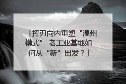 挥刃向内重塑“温州模式” 老工业基地如何从“新”出发？