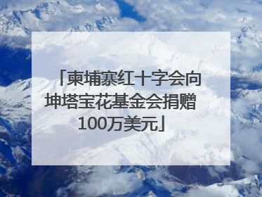 柬埔寨红十字会向坤塔宝花基金会捐赠100万美元