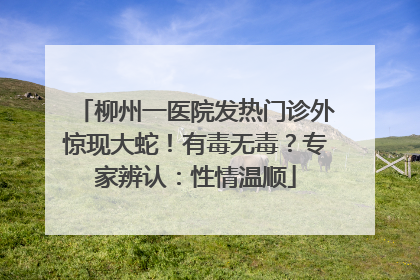 柳州一医院发热门诊外惊现大蛇！有毒无毒？专家辨认：性情温顺