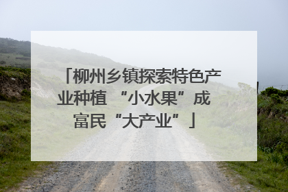 柳州乡镇探索特色产业种植 “小水果”成富民“大产业”