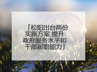 松阳出台两份实施方案 提升政府服务水平和干部履职能力