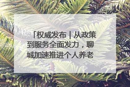 权威发布｜从政策到服务全面发力，聊城加速推进个人养老金制度落地