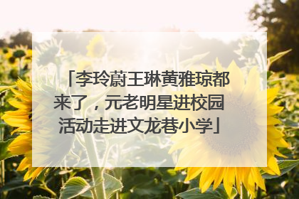 李玲蔚王琳黄雅琼都来了，元老明星进校园活动走进文龙巷小学