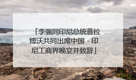 李强同印尼总统普拉博沃共同出席中国－印尼工商界晚宴并致辞