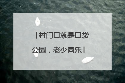 村门口就是口袋公园，老少同乐