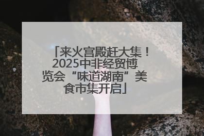 来火宫殿赶大集！2025中非经贸博览会“味道湖南”美食市集开启