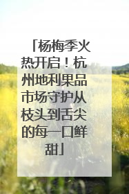 杨梅季火热开启！杭州地利果品市场守护从枝头到舌尖的每一口鲜甜