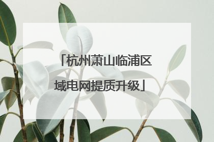 杭州萧山临浦区域电网提质升级