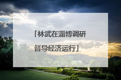 林武在淄博调研督导经济运行