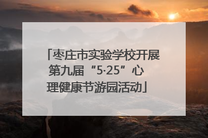 枣庄市实验学校开展第九届“5·25”心理健康节游园活动