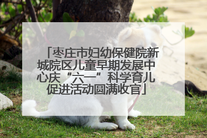 枣庄市妇幼保健院新城院区儿童早期发展中心庆“六一”科学育儿促进活动圆满收官