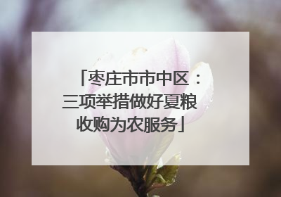 枣庄市市中区：三项举措做好夏粮收购为农服务