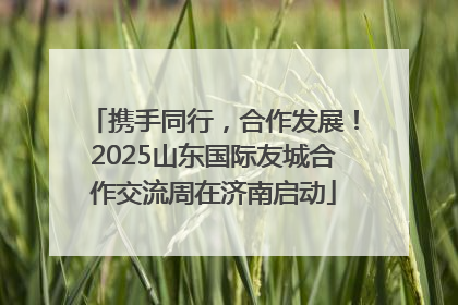 携手同行，合作发展！2025山东国际友城合作交流周在济南启动