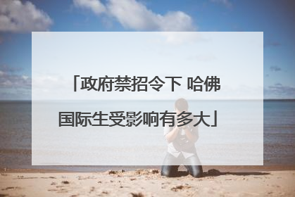 政府禁招令下 哈佛国际生受影响有多大