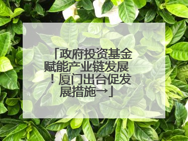 政府投资基金赋能产业链发展！厦门出台促发展措施→