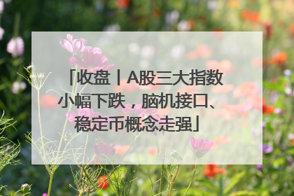 收盘丨A股三大指数小幅下跌，脑机接口、稳定币概念走强