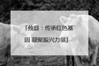 攸县：传承红色基因 凝聚振兴力量