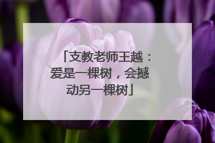 支教老师王越：爱是一棵树，会撼动另一棵树