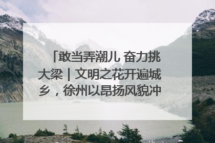 敢当弄潮儿 奋力挑大梁｜文明之花开遍城乡，徐州以昂扬风貌冲刺“万亿之城”
