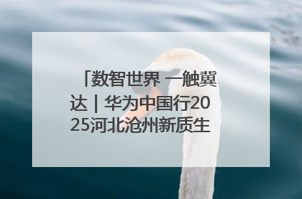 数智世界 一触冀达｜华为中国行2025河北沧州新质生产力峰会成功举办