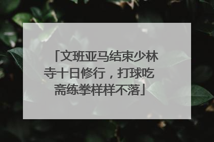 文班亚马结束少林寺十日修行，打球吃斋练拳样样不落