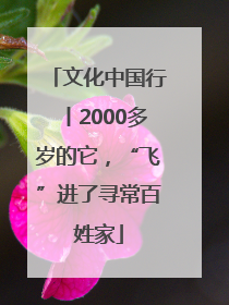 文化中国行丨2000多岁的它，“飞”进了寻常百姓家