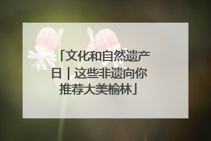 文化和自然遗产日｜这些非遗向你推荐大美榆林