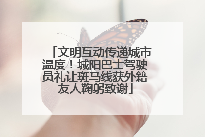 文明互动传递城市温度！城阳巴士驾驶员礼让斑马线获外籍友人鞠躬致谢