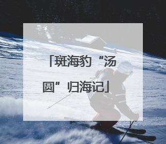 斑海豹“汤圆”归海记