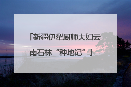 新疆伊犁厨师夫妇云南石林“种地记”