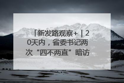 新发路观察+｜20天内，省委书记两次“四不两直”暗访，有何深意？