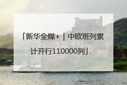 新华全媒+｜中欧班列累计开行110000列