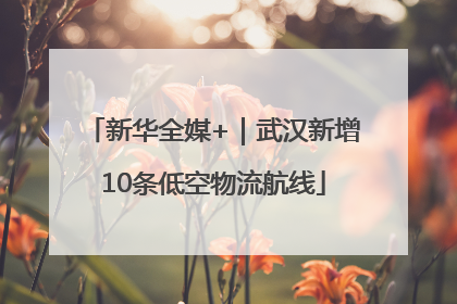 新华全媒+｜武汉新增10条低空物流航线