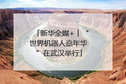 新华全媒+丨“世界机器人嘉年华”在武汉举行