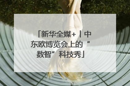 新华全媒+丨中东欧博览会上的“数智”科技秀