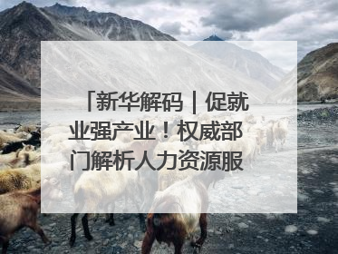 新华解码｜促就业强产业！权威部门解析人力资源服务业与制造业融合发展试点
