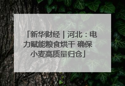 新华财经｜河北：电力赋能粮食烘干 确保小麦高质量归仓