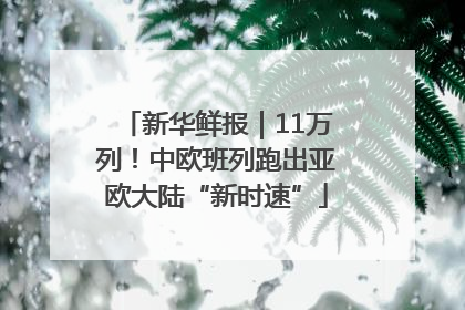 新华鲜报｜11万列！中欧班列跑出亚欧大陆“新时速”