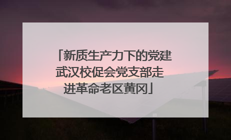 新质生产力下的党建 武汉校促会党支部走进革命老区黄冈