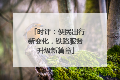 时评：便民出行新变化，铁路服务升级新篇章