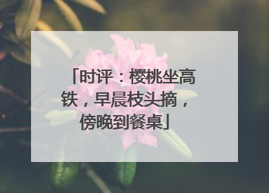 时评：樱桃坐高铁，早晨枝头摘，傍晚到餐桌