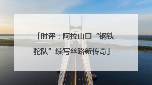 时评：阿拉山口“钢铁驼队”续写丝路新传奇