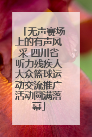 无声赛场上的有声风采 四川省听力残疾人大众篮球运动交流推广活动圆满落幕