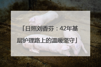 日照刘香芬：42年基层护理路上的温暖坚守
