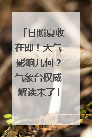 日照夏收在即！天气影响几何？气象台权威解读来了