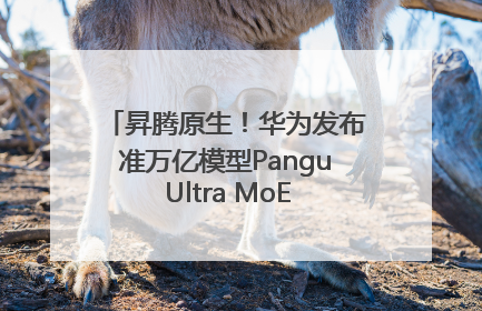 昇腾原生！华为发布准万亿模型Pangu Ultra MoE模型架构和训练细节