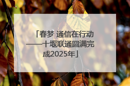 春梦 通信在行动——十堰联通圆满完成2025年