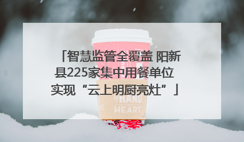 智慧监管全覆盖 阳新县225家集中用餐单位实现“云上明厨亮灶”